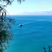 фото из отзыва ID 1672327