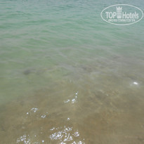 фото из отзыва ID 1674153