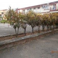 фото из отзыва ID 1674218