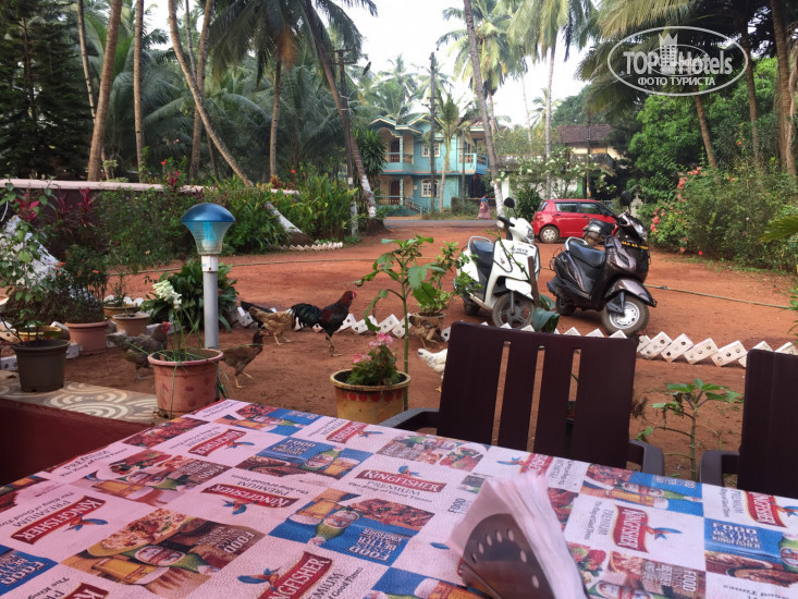 New photos from tourists Kingsley Guests House 1*