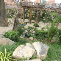 фото из отзыва ID 1674245