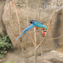 фото из отзыва ID 1674245