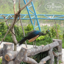 фото из отзыва ID 1674245