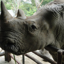 фото из отзыва ID 1674308