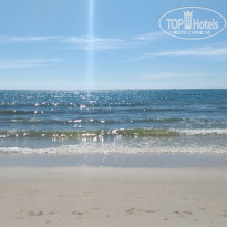 фото из отзыва ID 1674726