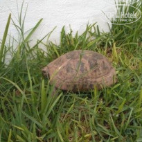 фото из отзыва ID 1674790