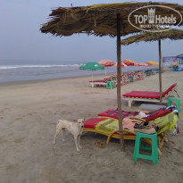 фото из отзыва ID 1673327