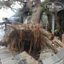 фото из отзыва ID 1674940