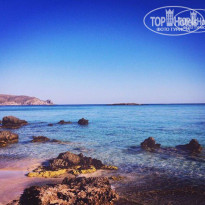 фото из отзыва ID 1674976