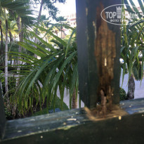 фото из отзыва ID 1675056