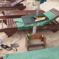 фото из отзыва ID 1671394