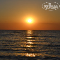 фото из отзыва ID 1675228