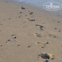 фото из отзыва ID 1675228