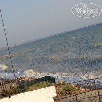 фото из отзыва ID 1675228