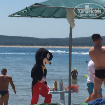 фото из отзыва ID 1675231