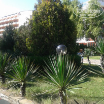 фото из отзыва ID 1675237