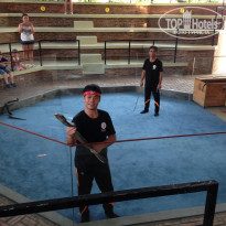 фото из отзыва ID 1675308