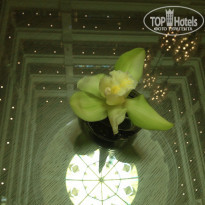 фото из отзыва ID 1674771