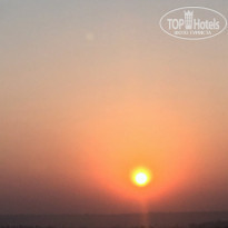 фото из отзыва ID 1675356