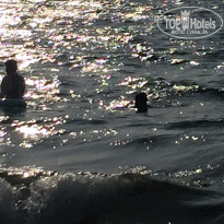 фото из отзыва ID 1675356