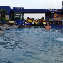 фото из отзыва ID 1675395