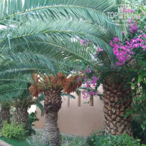 фото из отзыва ID 1675400