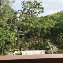 фото из отзыва ID 1675532