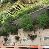 фото из отзыва ID 1675532