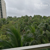 фото из отзыва ID 1675323