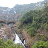 фото из отзыва ID 1675028