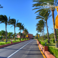 фото из отзыва ID 1675664