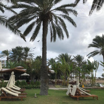 фото из отзыва ID 1675668