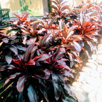 фото из отзыва ID 1675646