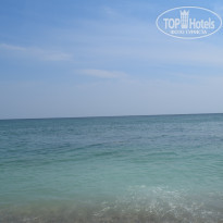 фото из отзыва ID 1675717