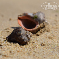 фото из отзыва ID 1675717