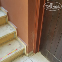 фото из отзыва ID 1675740