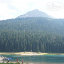 фото из отзыва ID 1675842