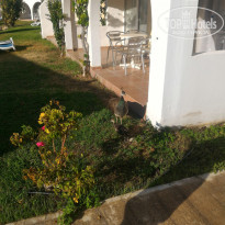 фото из отзыва ID 1675894