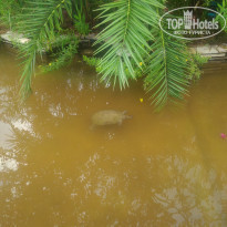 фото из отзыва ID 1675894