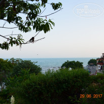 фото из отзыва ID 1676236