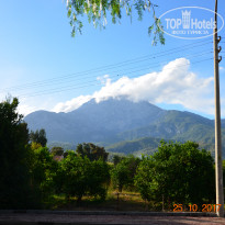 фото из отзыва ID 1676251