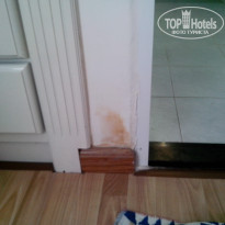 фото из отзыва ID 1676354