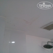 фото из отзыва ID 1676354