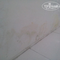 фото из отзыва ID 1676354