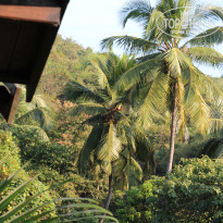 фото из отзыва ID 1676367