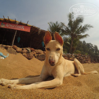 фото из отзыва ID 1676367