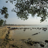 фото из отзыва ID 1676367