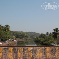 фото из отзыва ID 1676367