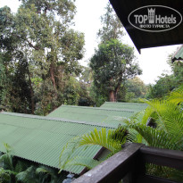 фото из отзыва ID 1676367