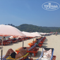 фото из отзыва ID 1676367